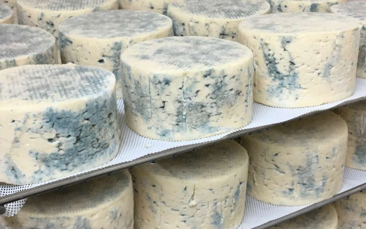 Suffolk Farmhouse Cheese Since 2004